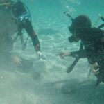 Amateur diver finds 50,000 coins from the 4th century hidden under the sand
