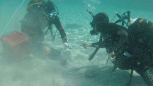 Amateur diver finds 50,000 coins from the 4th century hidden under the sand