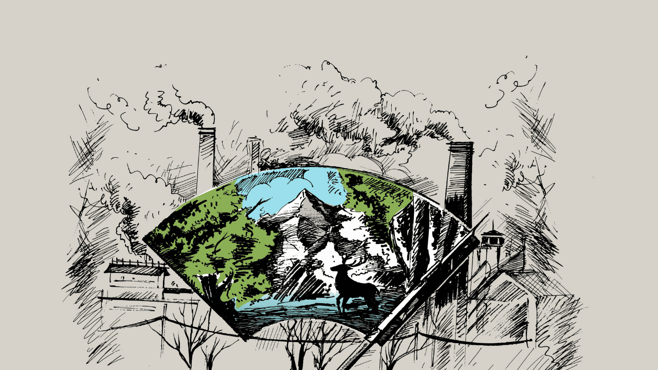 science/deep-root-discovery-carbon-storage