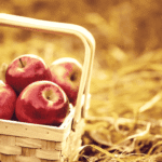 news/shuh-orchards-apple-theft-policy-change