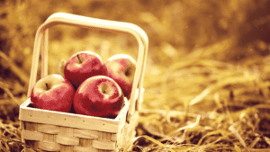 Ontario Farm Policy Change – 500-Pound Apple Heist Leads to Stricter Farm Regulations